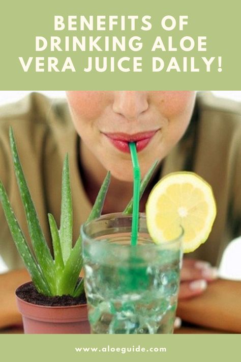 Benefits Of Eating Aloe Vera, Benefits Of Drinking Aloe Vera Water, Aloe Drink Benefits, How To Drink Aloe Vera Juice, What Is Aloe Vera Good For, Health Benefits Of Aloe Vera Juice, Drink Aloe Vera Juice Benefits Of, Aloe Vera Juice Recipes Drinking, Drinking Aloe Vera Juice Benefits