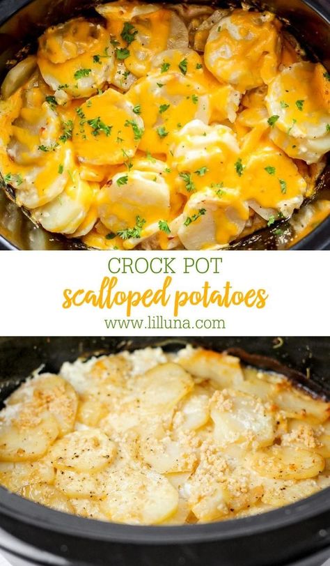 Creamy crock pot scalloped potatoes are a great side to any meal. You only need a few ingredients and the slow cooker! #crockpot #slowcooker #scallopedpotatoes #potatoes #sidedish Crockpot Recipes For Potatoes, Crock Pot Cheesy Scalloped Potatoes, Crock Pot Potatoes Recipes, Crockpot Au Gratin Potatoes, Crockpot Potato Recipes, Scalloped Potatoes With Cream, Crockpot Vegetables, Crock Pot Scalloped Potatoes, Crockpot Scalloped Potatoes