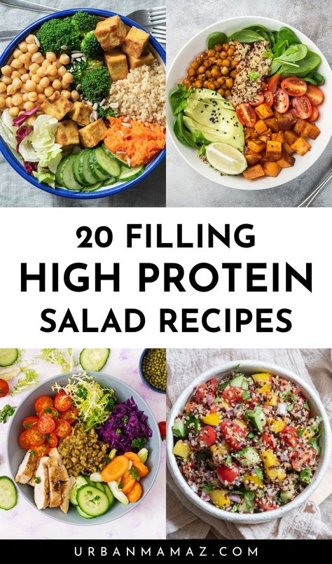 Looking for filling high protein salad recipes? Check out this list of 20 easy high protein salads for meal prep. Packed Lunch Salad Ideas, Not Salad Salads, Protein Filled Salads Healthy, Protein Summer Salad, Prep Salads For Lunch, Hi Protein Salads, Non Salad Lunches Healthy, Hearty Salads For Lunch, Protein Packed Thai Pasta Salad