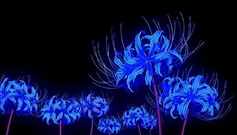 Blue Spider Lily, Spider Lily, Night Sky, Blue Flowers, The Story, Books Wattpad, Lily, Wattpad, Books