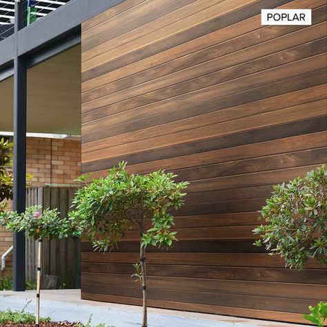 Modern Exterior Wood Cladding (15 SF) Cedar Siding Exterior, Exterior Wood Cladding, Cedar Siding Colors, Exterior Wood Trim, Exterior Siding Colors, Oak Mantel, Exterior Houses, Siding Colors, Cedar Siding