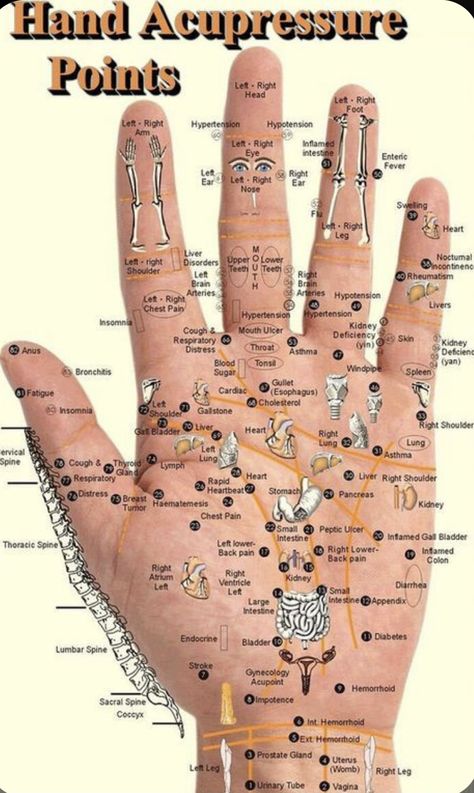 Autogenic Training, Pressure Point Therapy, Reflexology Foot Chart, Bolesti Chrbta, Point Acupuncture, Hand Reflexology, Reflexology Chart, Reflexology Massage, Foot Reflexology