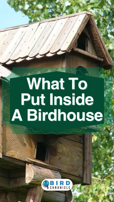 Bird Houses For Different Birds, Where To Hang Bird Houses, Building Bird Houses Birdhouse Designs, Winter Bird Houses Diy, Wren Houses Birdhouses, Bird Sanctuary Ideas Backyards, Unique Bird Houses Diy Rustic Birdhouses, Painted Bird Houses Ideas Simple, Bird Apartment