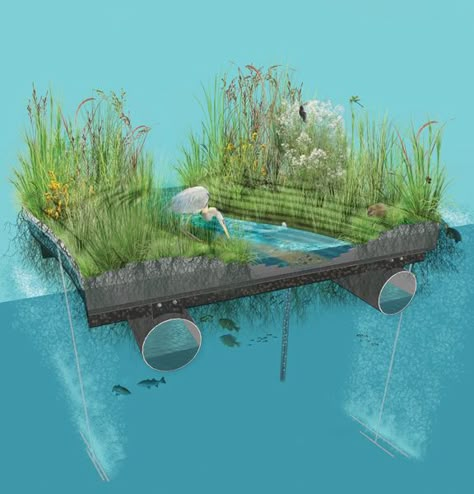 Floating Wetland, Wetland Landscape, Hydroponics Gardening, Living Pool, Artificial Island, Underwater Plants, Aquaponics Diy, Floating Garden, Aquaponics System