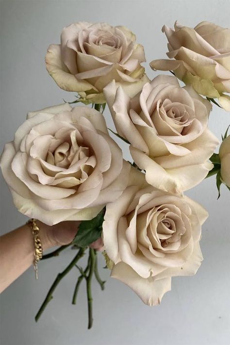 Taupe Flower Arrangements, Champagne Roses Wedding, Cream Color Flowers, Champagne Colored Flowers, White Rose Varieties, Neutral Florals For Wedding, Cream Wedding Florals, Wedding Florals Neutral, Champagne Flower Arrangements