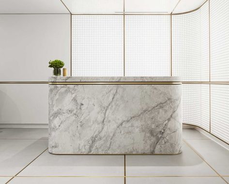 trend we love: marble and brass Modern Reception Desk Design, Mim Design, Modern Reception Desk, Reception Desk Design, Interior Design Minimalist, Modern Reception, Office Lobby, Lobby Interior, Counter Design