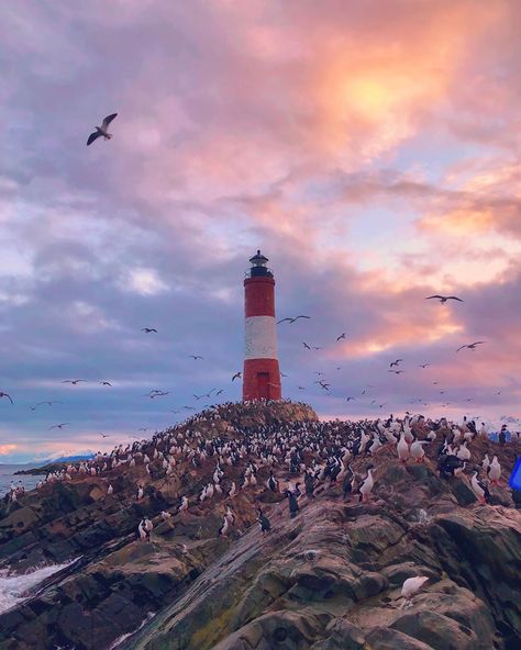 Patagonia Aesthetic, Ushuaia, Watch Wallpaper, Visual Inspiration, Watercolor Inspiration, Travel Inspo, Bolivia, Patagonia, Lighthouse