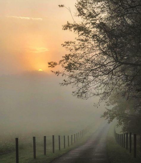 Beautiful S, Foggy Weather, Morning Photo, Misty Morning, Autumn Morning, Foggy Morning, Hairstyles Women, Double Chin, Pretty Places