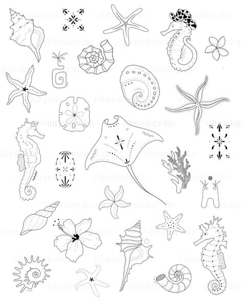 Ocean Sticker Sleeve Tattoo, Marine Biologist Tattoo Ideas, Ornamental Ocean Tattoo, Starfish And Shell Tattoo, Stingray Leg Tattoo, Shell Spine Tattoo, Tiny Tattoos Beach, Small Sea Themed Tattoos, Small Beach Tattoos For Women Simple