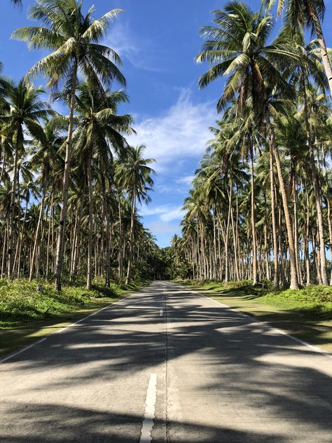 Siargao Island Aesthetic, Siargao Aesthetic, Philippines Aesthetic, Vacation Board, Siargao Island, Vacation Locations, Siargao, Philippines Travel, Gopro Hero