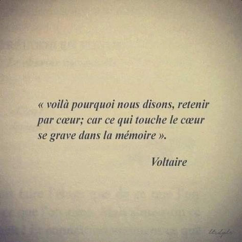 Voltaire Quotes, Inspirational Quotes From Books, Soul Poetry, Language Quotes, Cute Couple Quotes, Good Sentences, Healing Words, French Quotes, Love Phrases