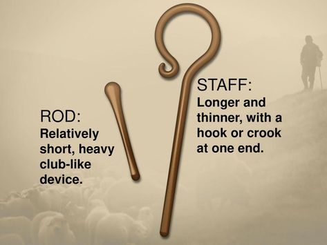 How are the Shepherd’s Rod and Staff Different? » Reasons for Hope* Jesus Rod And Staff, Spiritual Reflection, Bible Worksheets, Bible Study Help, Christian Images, Gospel Message, The Good Shepherd, The Virgin Mary, Psalm 23