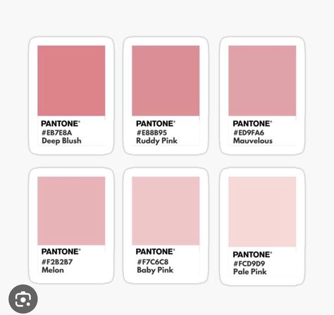 Pantone Peach Pink, Pantone Pink Shades, Pink Color Chart, Pink Pantone, Aesthetic Pleasing, Pantone Color Chart, Brand Palette, Pantone Palette, Hex Color