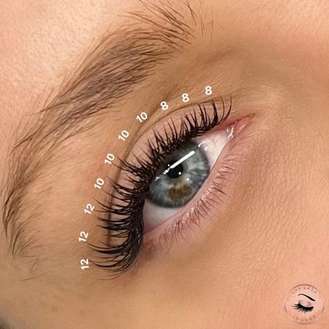 ‼️Lash Technicians‼️ Here’s something for you to try⬇️ Wispy Cat Eye Lash Map👀⭐️ 8-12mm, Classic C-Curl❤️‍🔥 This is a gradual sharp cat eye because it’s going from 8mm to 12mm🔪 We love this set and it’s an easy lash map to follow🥰👀 📍Classic Lash Extensions in Brooklyn, NY 📲718-801-2523 📍Classic Lash Extensions in Long Island, NY 📲516-907-2200 💻www.luxlashlounge.com #lashmap #cateyelashextensions #cateyelashmap #lashmappingskills #lashmappingtips #lashextensions #nyclashtech #brooklynl... Kiss Lash Extensions Map, Cat Eye Eyelash Extensions Map, C Curl Classic Eyelash Extensions, Cat Eye Cluster Lashes, Lash Maps Wispy, Classic Lashes Extensions Mapping, 2d Lash Extensions Cat Eye, 8-12 Mm Lashes, Angel Set Lash Extensions Mapping