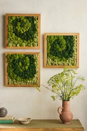 New Arrivals | Terrain Live Plant Wall Art, Framed Flower Vase, Plant Troughs, Moss Frame, Moss Centerpieces, Moss Decor, Reindeer Moss, Dogwood Blossoms, Organic Ceramics