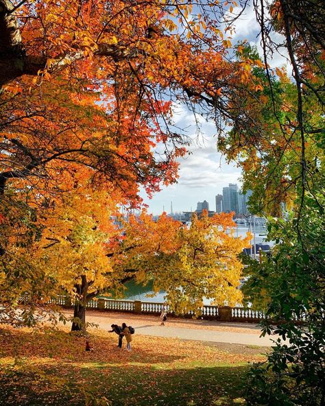 Rebecca Bollwitt’s Instagram photo: “It was the perfect day for a fall photo shoot with bébé 🍂🍁 #Autumn #StanleyPark #Vancouver #Family #VeryVancouver @inside_vancouver…” Autumn In Vancouver, Vancouver Fall Aesthetic, Fall In Vancouver Bc, Perfect Autumn Day, Vancouver Autumn, Romanticising Autumn, Fall Vancouver, Vancouver Aesthetic, Vancouver Summer