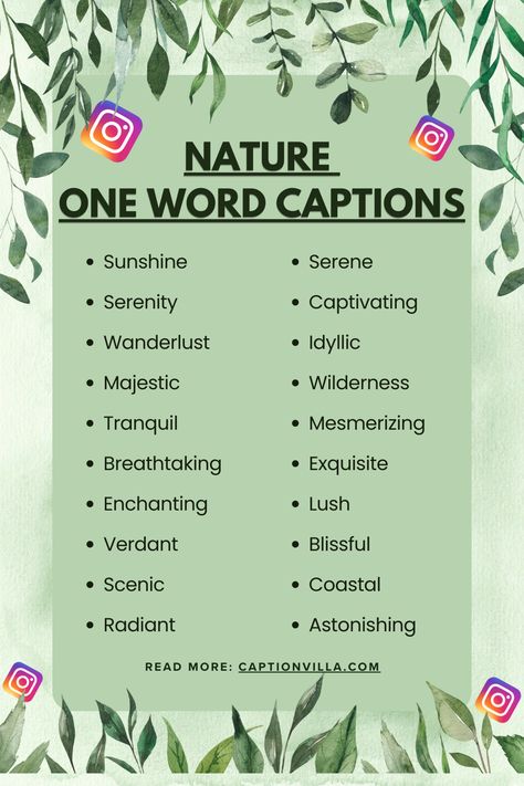 Nature One Word Captions for Instagram Nature Captions Instagram Beautiful, One Word Nature Captions, Caption For Nature Beauty, Nature Aesthetic Captions, One Word Captions For Instagram, Word Captions For Instagram, Nature Captions Instagram, Captions For Instagram 2023, One Word Captions