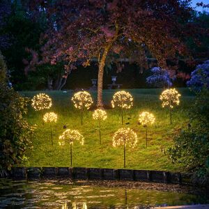 Dandelion Light, Allium Flowers, Garden Winter, Starburst Light, Lights Ideas, Twinkly Lights, Garden Inspo, Art Colour, Festival Decor