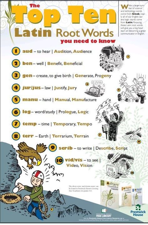 The Top Ten Latin Root Words You Need to Know Latin Language Learning, Learning Latin, Learn Latin, Latin Root Words, Teaching Latin, Greek Language Learning, Vocabulary Strategies, Learn Greek, Library Posters