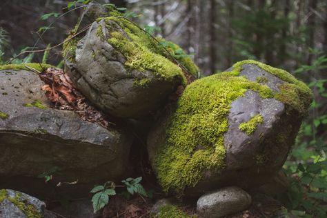 Voice Of Nature, Deconstructivism, Rock Photography, Beauty Magic, Green Planet, Landscape Photography Nature, Environment Design, Environment Concept Art, Gothic Art