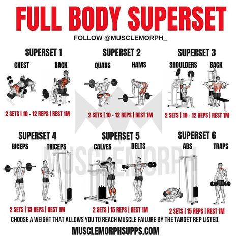 Full Body Superset @musclemorph_... Superset Workout Plan, Full Body Db Circuit, Back Workout Superset, Total Body Superset Workout, Full Body Superset Workout Weights, Full Body Weightlifting Workout, Super Set Workouts Full Body Gym, Full Body Workouts Gym, Supersets For Women