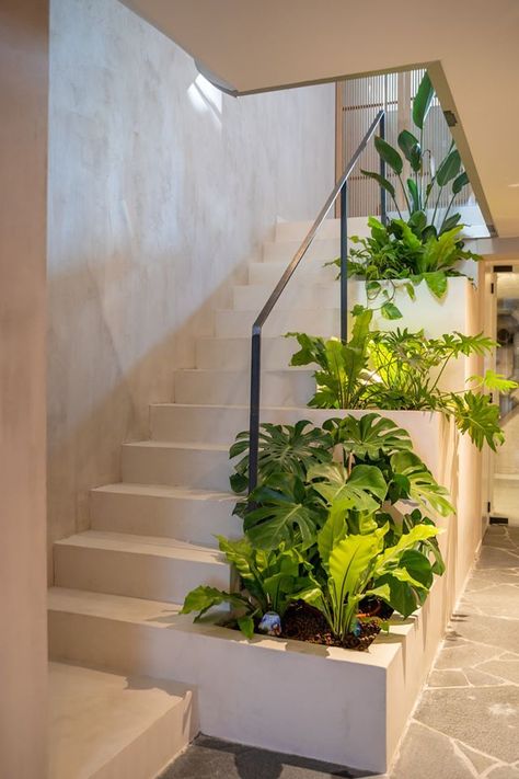 Office Wall Design, Light Unit, House Staircase, Planter Design, Interior Garden, Staircase Design, Office Walls, Planter Boxes, Creative Studio