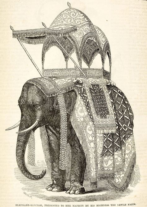 Historical India, Rich And Poor, Indian Illustration, Elephant Illustration, Indian Elephant, The British Library, Indian Paintings, Elephant Art, Arte Sketchbook