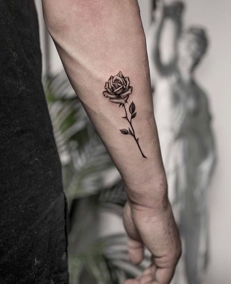 Rose Tattoo On Arm Men, Rear Forearm Tattoo Men, Tattoo Roses Men, Rose Tattoo For Guys, Mens Rose Tattoos, Roses Tattoo Men, Small Rose Tattoo Men, Rose Forearm Tattoo Men, Rose Tattoo Man