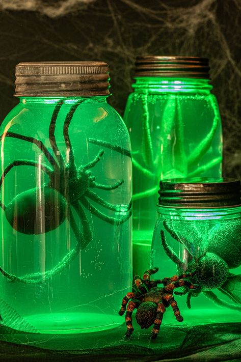 Spider Decorations, Ideas Halloween, Mason Jars, Halloween Decorations, Halloween, Green