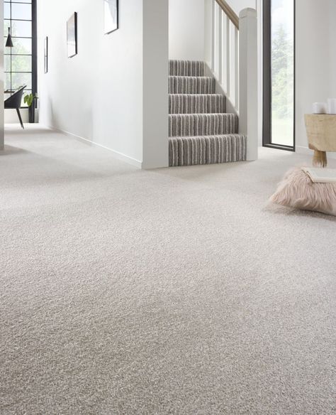 This luxurious Saxony carpet will effortlessly blend with most home interiors. Manufactured using a tough two ply yarn, this saxony carpet is easy to maintain and is designed to handle the everyday wear in busy areas of the home. Plush Saxony Urban Stripes Carpet from: £10.75m2 Carpet Store, Tarkett Vinyl Flooring, Striped Carpets, Carpet Remnants, Modern Colours, Carpet Stores, Carpet Underlay, Wood Laminate Flooring, Carpet Shops