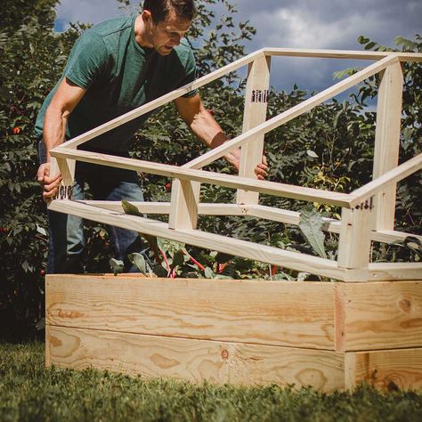 Diy Cold Frame, Cold Frame Diy, Cold Frame Gardening, Mini Serre, Cold Frames, Garden Boxes Diy, Winter Gardening, Build A Greenhouse, Building A Raised Garden