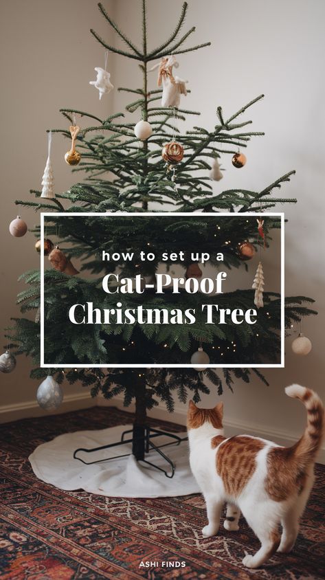 A cat Proof Christmas Tree and a cat looking at it Cat Safe Christmas Tree Ideas, Cat Safe Christmas Decorations, Diy Cardboard Decorations, Cat Friendly Christmas Decorations, Alternative To Christmas Tree, Cat Friendly Christmas Tree, Christmas Tree Guard, Christmas Tree Alternative Ideas, Christmas Tree Tips