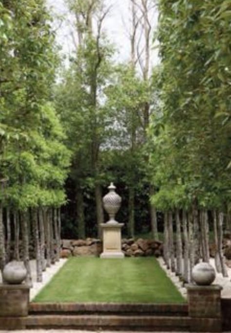 garden urn Formal Garden Design, Garden Urns, Formal Garden, Focal Points, Formal Gardens, Garden Photos, Garden Features, Little Garden, Gorgeous Gardens