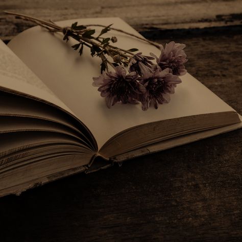 Flower On Book Aesthetic, Flowers On Books Aesthetic, Dark Purple Vintage Aesthetic, Flowers Dark Academia Aesthetic, Open Books Aesthetics, Dark Brown Flowers Aesthetic, Dark Academia Flowers Aesthetic, Opened Book Aesthetic, Dark Academia Purple Aesthetic