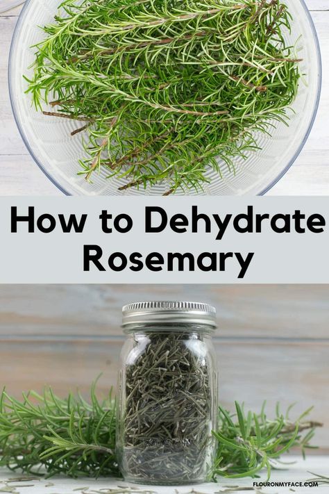 How to dehydrate fresh rosemary. Dry your own herbs and save hundreds of dollars a year. Dehydrate Rosemary, Dehydrating Recipes, Preserve Fresh Herbs, Dehydrating Food Storage, Herbs At Home, Drying Fresh Herbs, Mat Inspiration, Food Dehydration, Growing Rosemary