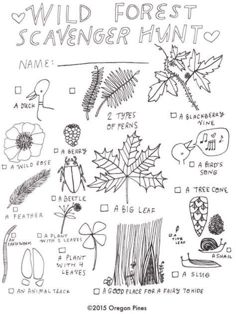 Forest Scavenger Hunt, Hunt Aesthetic, School Scavenger Hunt, Nature Club, Nature Lessons, Nature Scavenger Hunt, Nature Hunt, Forest Party, Play Ground