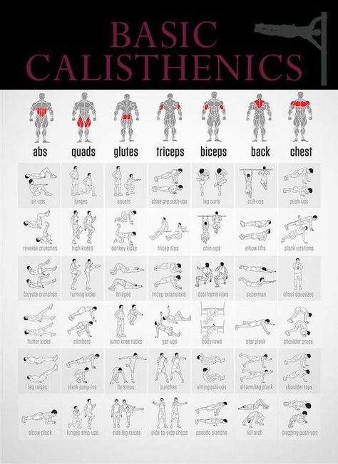 Calisthenics are a form of exercise to increase body strength, body fitness and flexibility through movements using one's body weight for resistance. When performed vigorously and with variety, calisthenics can provide the benefits of muscular and aerobic conditioning, as well as balance, agility and coordination. Interested to give it a try? Start here. Calestenics Exercise, Basic Calisthenics Exercises, Chalistenic Workout At Home, Calisthenics Glutes, Calinstethics Workout, Calethstenics Workout, Morning Calisthenics, Basic Calisthenics, Start Calisthenics