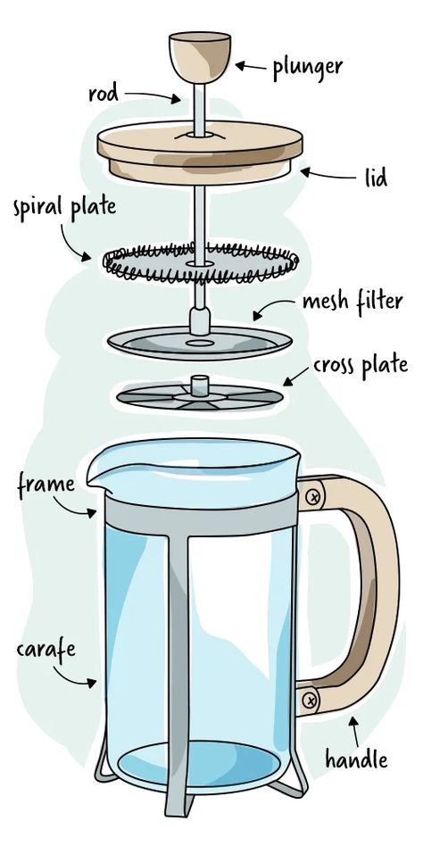 How to Make French Press Coffee | Drip Coffee vs. French Press French Press Drawing, French Press Coffee Recipe, Coffee Infographic, Coffee Drip, French Press Coffee Maker, French Coffee, Coffee Press, Coffee Images, Coffee Illustration