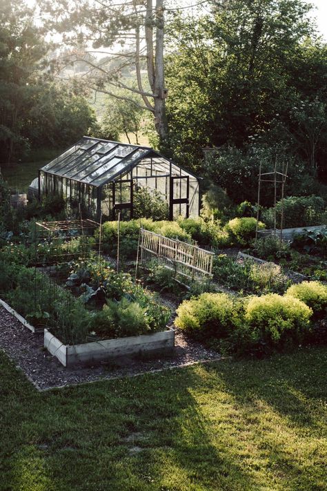 Beyond the Meadows: An Inspiring New Book by the Homesteaders Behind Krautkopf Vegetable Garden In The Woods, Greenhouse Garden Design, Vegetable Garden Greenhouse, Homestead Community, Homestead Interior, Kitchen Garden Design, Mountain Homestead, Green House Garden, Flower Greenhouse