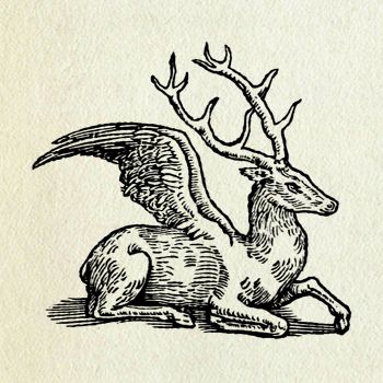 No historic reference, I just like the beast want to use it in heraldry. Medieval Creatures Illustrations, Deer With Wings Drawing, Peryton Deer Fantasy Creatures, Woodcuts Prints Medieval, Medieval Mythical Creatures, Medieval Etching Art, Medieval Manuscript Tattoo, Medieval Bestiary Illustrations, Midevil Drawings Art