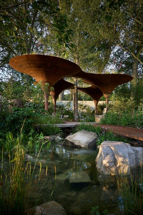 Studio Weave and Tom Massey design garden with rain-harvesting pavilion Reflection Pond Architecture, Reflecting Pool Architecture, Tom Massey, Feilden Fowles, Water Pavilion, Rain Harvesting, Water Architecture, Courtyard Ideas, Studio Weave