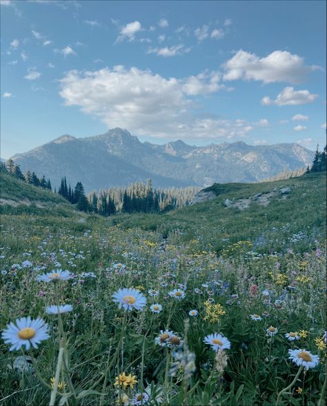 Wild Flowers Mountain, Cottage Core Mountains, Hiking Mountains Aesthetic, Mountain Nature Aesthetic, Fields And Mountains, Flowers On Mountain, Pretty Outdoor Pictures, Mountain Range Aesthetic, Mountaincore Aesthetic