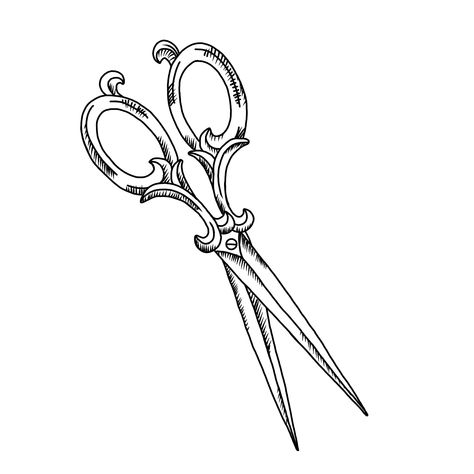 Scissor Drawing Reference, Scissor Tattoo Ideas, Old School Scissor Tattoo, Victorian Scissors Tattoo, Vintage Scissors Illustration, Old Scissors Tattoo, Tailor Scissors Tattoo, Antique Scissors Drawing, Open Scissors Drawing