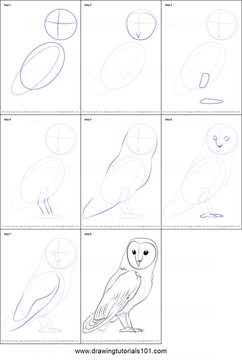 In 8 Easy Steps you can learn How to Draw a Barn Owl! Owl Drawing Simple, Barn Owl Drawing, Owl Sketch, Owl Drawing, Drawing Hands, Drawing Step By Step, Drawing Sheet, Charcoal Drawings, Drawing Step