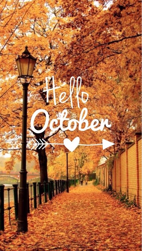 Hello October Images, October Hello, Fall Desktop, October Images, Hello Wallpaper, Corp Perfect, Its My Birthday Month, October Wallpaper, Wallpaper Fall