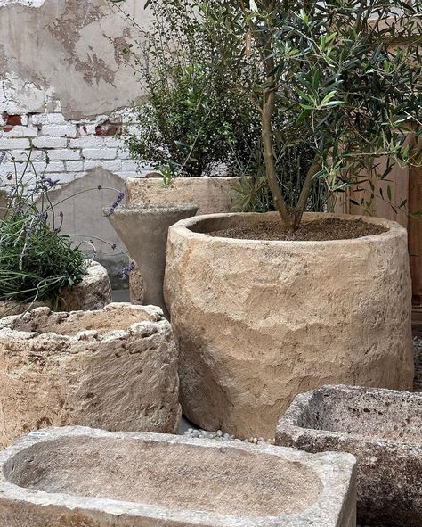 Round Indonesian limestone troughs. Round/rectangular antique French limestone planters. Stone inspired troughs, too. Stones In Garden Ideas, Stone House Decor, Limestone Trough, Diy Cement Planters, Concrete Containers, Stone Planter, Diy Concrete Planters, French Limestone, Potted Plants Outdoor