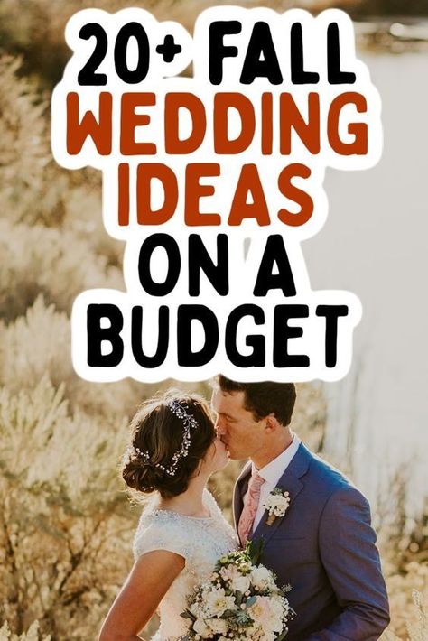 If you’re in the midst of planning a fall wedding and trying to do it on a budget, then you are in the right place! Weddings can get very expensive quickly, so I’ve compiled a list of over 20 fall wedding ideas on a budget that will still look really beautiful and elegant. Wedding For 20 People, Fall Yard Wedding Ideas, Weddings Under 50 People, Beautiful Weddings On A Budget, Easy Cheap Wedding Ideas, Speak Easy Wedding Ideas, Inexpensive Fall Wedding Ideas, Fall Indoor Wedding Ideas, Fall Wedding On A Budget Diy