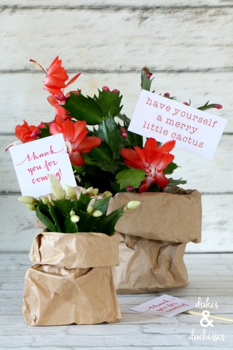 blooming christmas cactus gift idea with merry little cactus printable Gift Wrapping Plants, Plant Gifting Ideas, Christmas Cactus Gift Ideas, Christmas Succulents Gift, Christmas Cactus Gift, Cactus Gift Ideas, Client Gifts Christmas, Cactus Centerpiece, Christmas Party Centerpieces