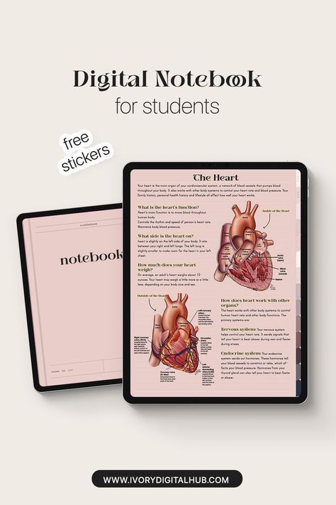 Free Digital Planner Templates Free Digital Journal Goodnotes, Ipad Notetaking, Writing Apps, Free Digital Planner, Apple Ideas, Goodnotes Notebook, Ipad Notes, Ipad Kid, Edit Pictures