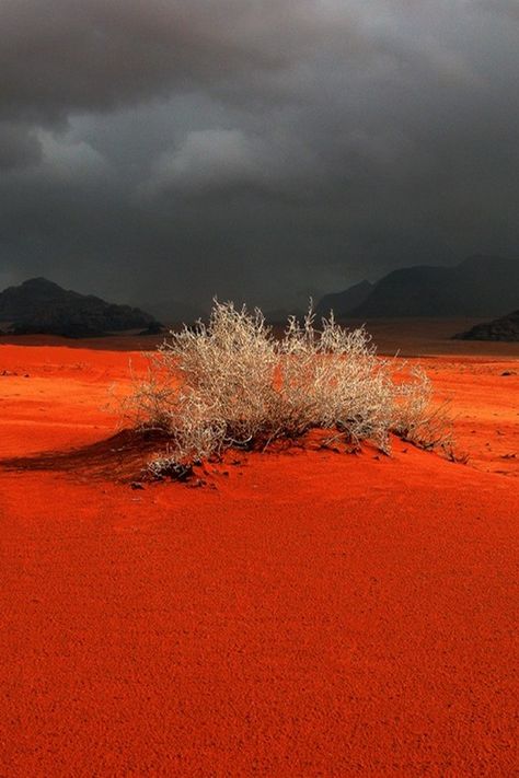 Orange Desert, Wadi Rum Jordan, Jordan Travel, Desert Life, Wadi Rum, Dark Clouds, 수채화 그림, Amman, Landscape Photos